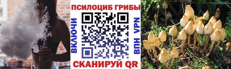 KRAKEN онион  Дрезна  Псилоцибиновые грибы прущие грибы  купить наркотик 